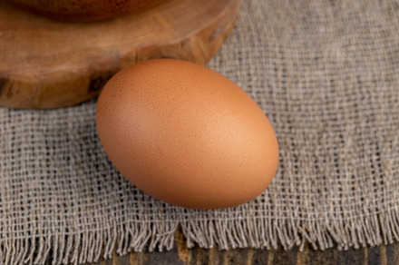 A whole orange chicken egg close-up on the table, a Food & Drink Photo by MyPhotos
