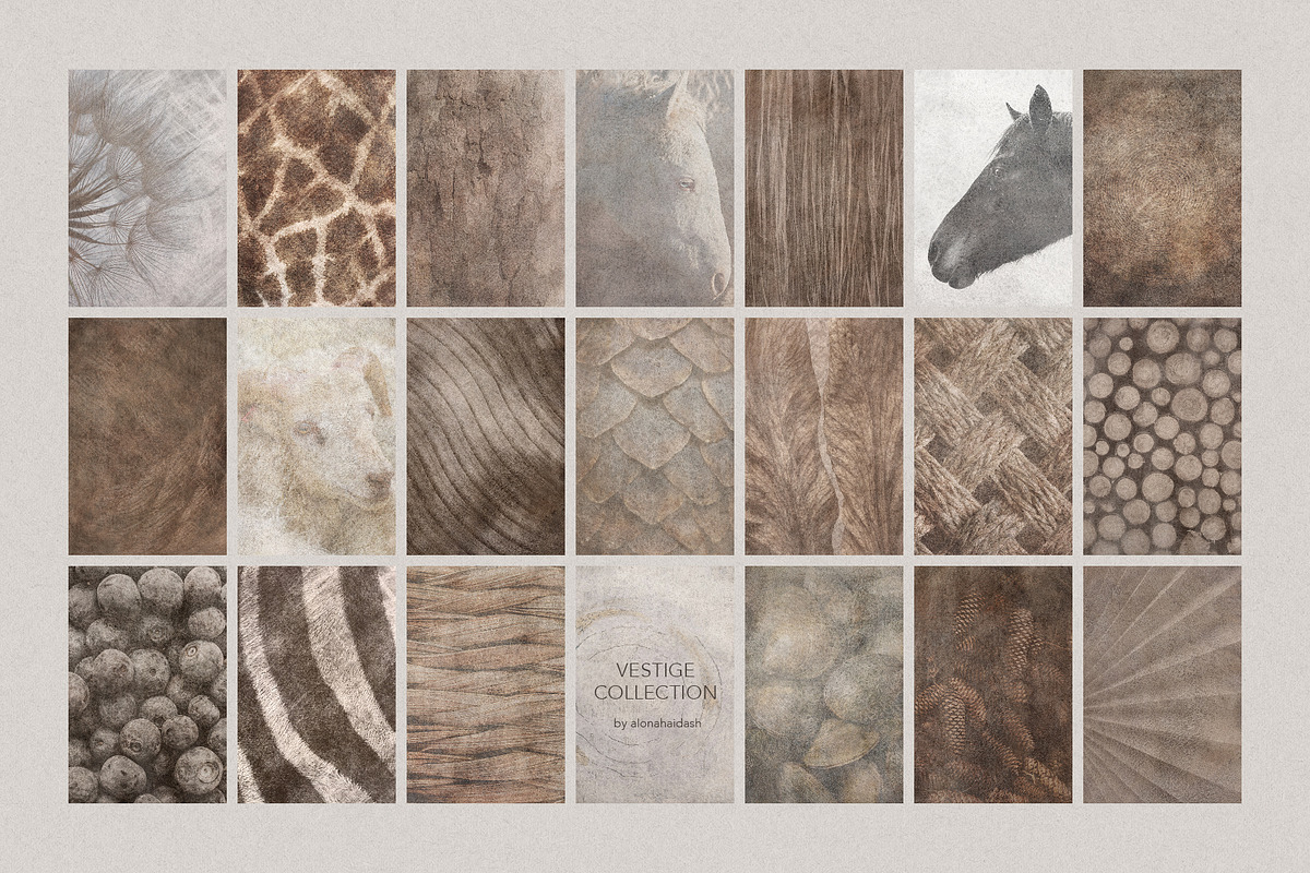 Vestige II · Organic Backgrounds, a Background Graphic by alonahaidash (Photo 9 of 16)