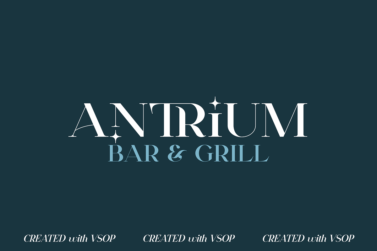 VSOP - elegant serif, 70 fonts, a Serif Font by VP Fonts (Photo 6 of 21)