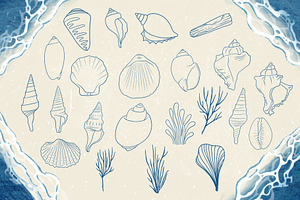 Seashells Driftwood Procreate Set