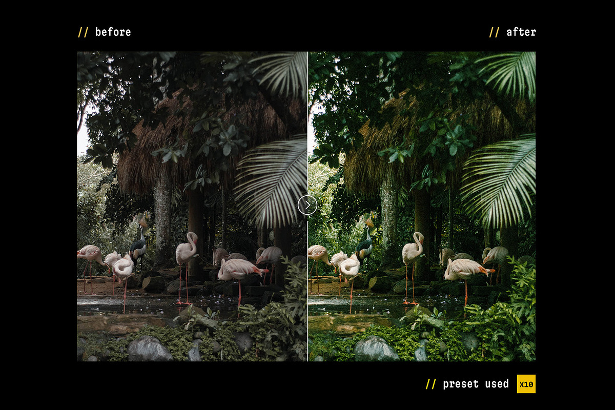35mm Film – Actions & Presets, a Preset Add-On by Hydrozi Presets (Photo 11 of 12)