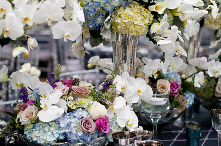 White flowers, a Photo by Stocklane