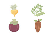 Organic Superfoods Illustration Set, a Food Illustration by studiogstock (Thumbnail 4 of 4)
