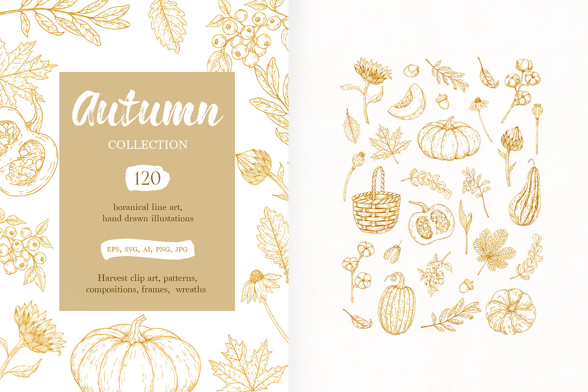 AUTUMN|Botanical line art collection, a Seasonal Illustration by Navenzeles (Photo 1 of 16)