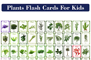 Plants Flash Cards For Kids, a Card Template by DigitalsDesigns (Thumbnail 1 of 4)