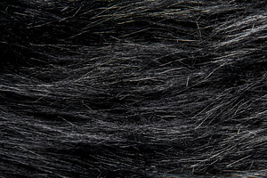 Dark animal fur surface showing soft hair fibers, a Background Photo by Olena Rudo