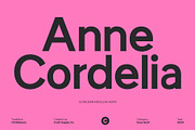 CS Milesian – Sans Serif Typeface, a Sans Serif Font by Craft Supply Co. (Thumbnail 4 of 8)