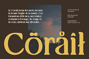 Velcan Blur, a Serif Font by Craft Supply Co. (Thumbnail 4 of 8)