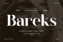 Bareks Elegant Serif Font Typeface