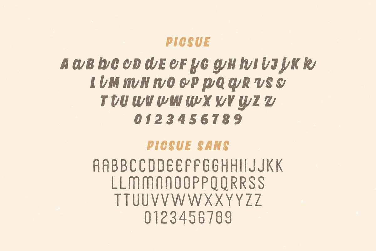 Picsue; Script and Sans Font Duo, a Script Font by Eko Bimantara (Photo 20 of 20)