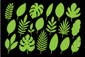 Green tropical leaf silhouettes on, an Illustration by GraphiShop