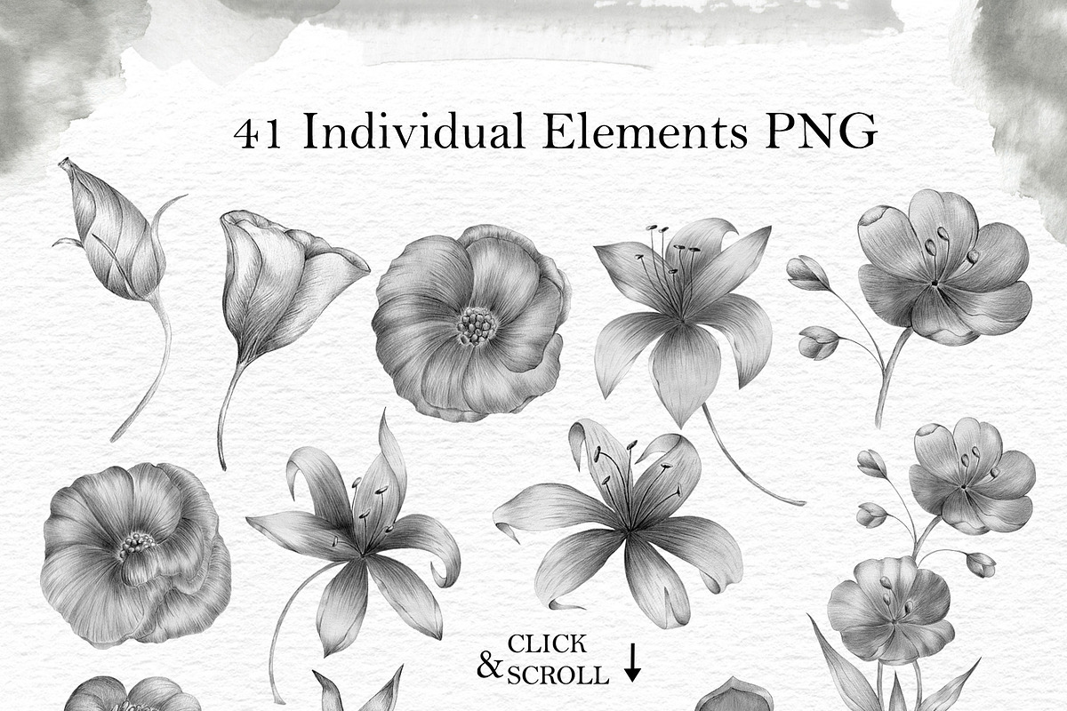 Flower Mix, a Decorative Illustration by ViсkyArtDesign (Photo 2 of 9)