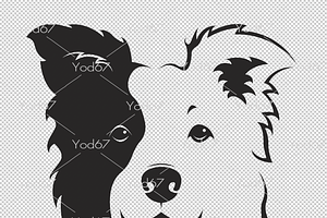 Vector Of A Border Collie Dog. Pet.