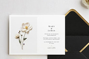 Pressed Flowers (Png) Elements, a Background Graphic by by creative paper (Thumbnail 4 of 13)