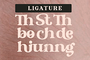 Modesto - Retro Modern Stylish Serif, a Serif Font by Qweera Studio (Thumbnail 10 of 12)