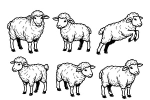 Vector set of 9 sheep. Farm animals., an Animal Illustration by yod67