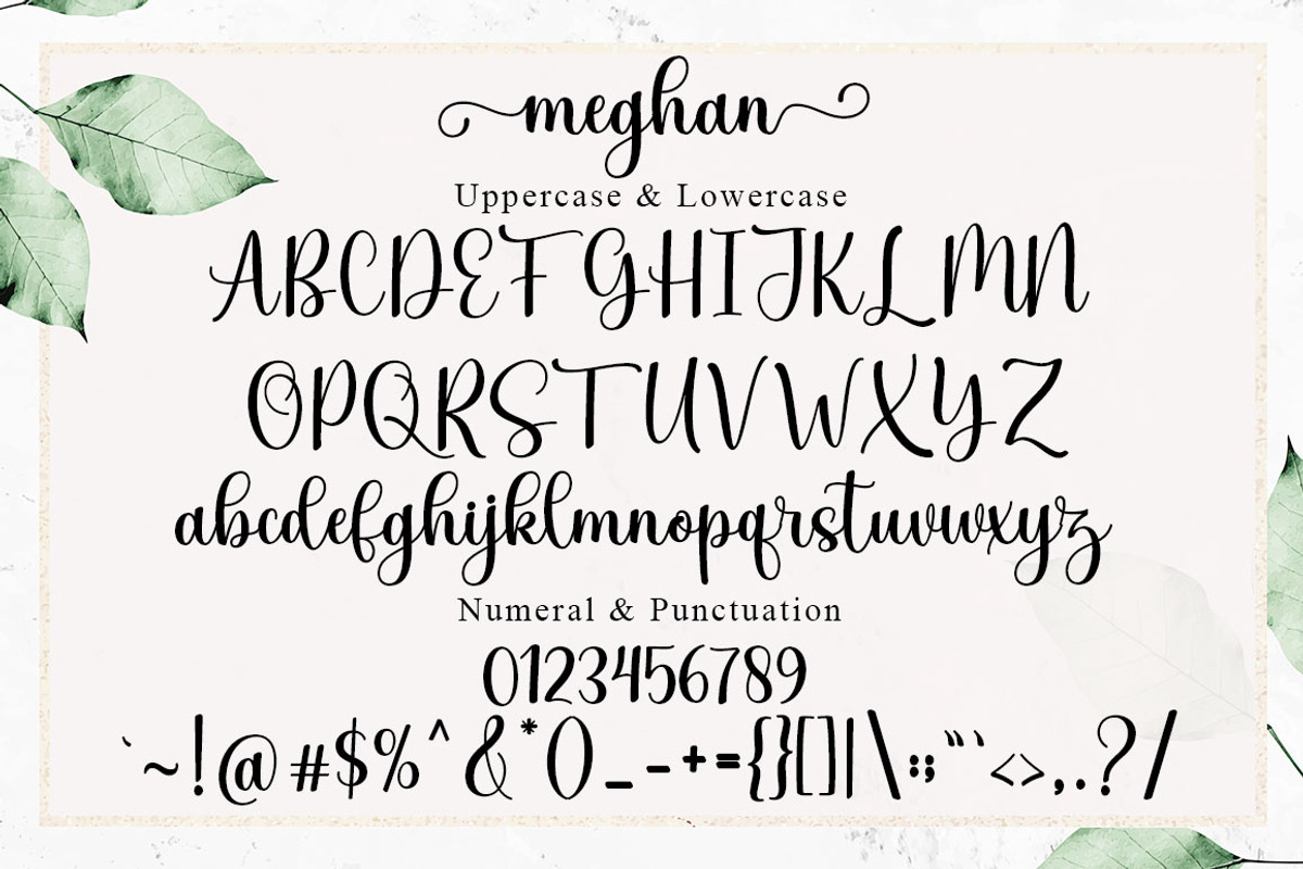 Meghan Script, a Script Font by Rotterlab Studio (Photo 8 of 8)