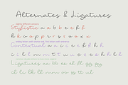 Long Story Short, a Script Font by Roland Huse Design (Thumbnail 5 of 5)
