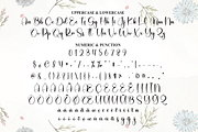 Delicate | Script Font, a Handwritten Font by Scratchones (Thumbnail 7 of 8)