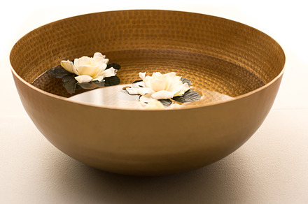 Gardenias in Water