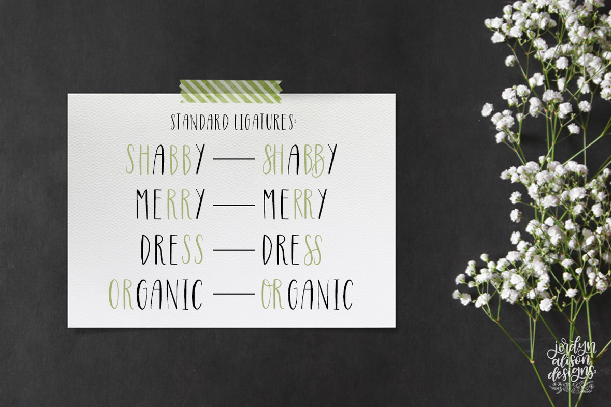 Hand Lettered Font Bundle preview 5