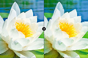 PainterBox | Paint Pro 4, an Action Add-On by ozonostudio (Thumbnail 3 of 6)
