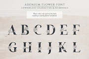 Adenium Font + Gold & Rose Gold Foil, a Sans Serif Font by Graphicfresh (Thumbnail 7 of 8)