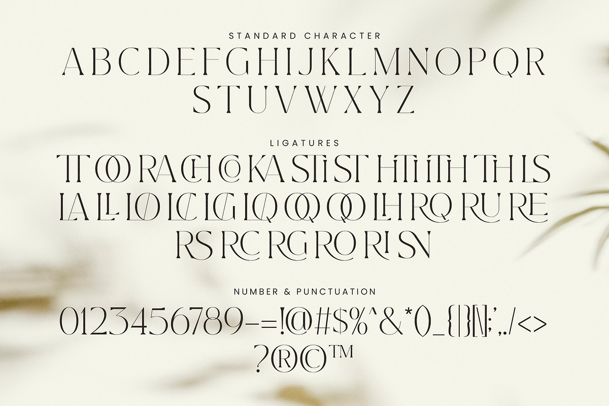 Master Modern -  Ligature Serif Font, a Serif Font by Lettersiro (Photo 8 of 8)