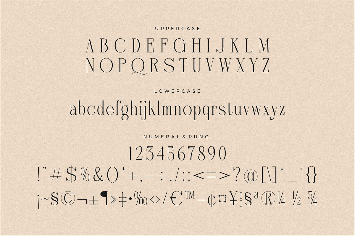 Nebiard Classic Serif Font, a Serif Font by Storytype Studio (Photo 12 of 15)