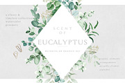 Scent of Eucalyptus - Graphic Set, an Illustration by studioequinox (Thumbnail 1 of 21)