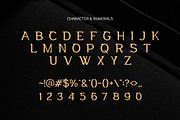 Gorbita – Modern Elegant Serif, a Sans Serif Font by Vadovastd (Thumbnail 7 of 7)