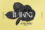 Wahog - Sans Serif With Nice Italic, a Sans Serif Font by AuthenType (Thumbnail 1 of 15)