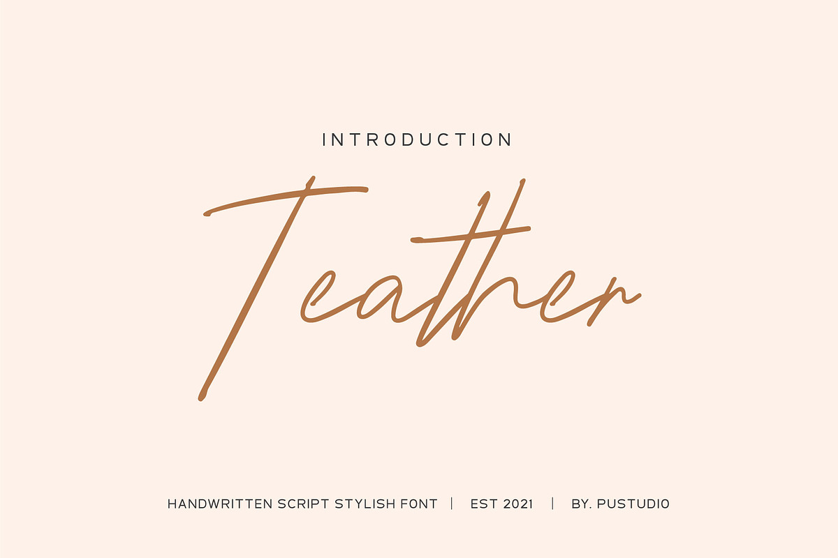 Teather Signature, a Script Font by Pustudio (Photo 1 of 6)