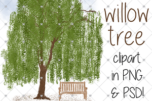 willow tree, trees, family tree,