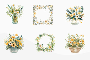 Watercolor Daisy Clipart PNG Files