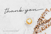 Hilstoria Signature Font, a Script Font by Wandery Supply (Thumbnail 18 of 18)