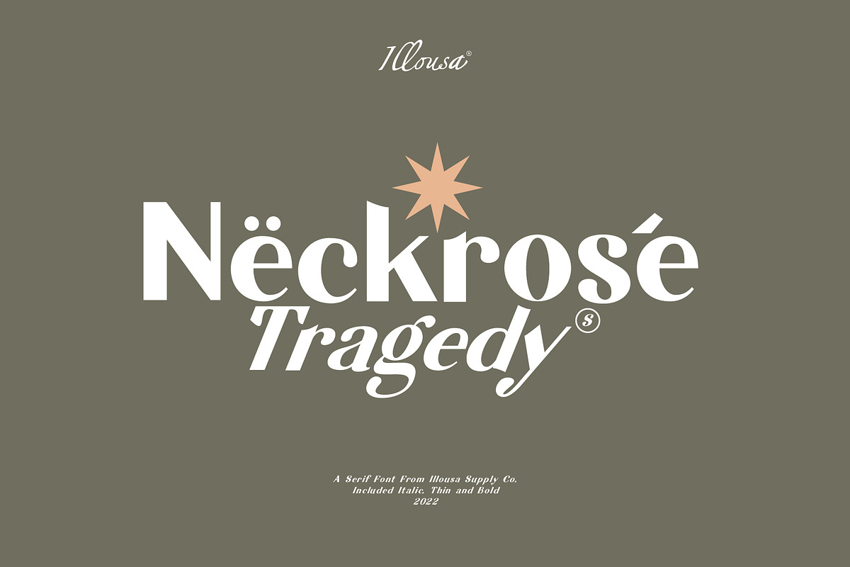Neckrose - Serif Family Typeface, a Serif Font by Illousa (Photo 1 of 10)