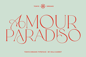 Tokyo Dreams Display Ligature Serif