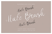 Hake Brush SVG Script, a Script Font by Creamy Script (Thumbnail 1 of 6)
