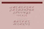 Loviola Typeface, a Serif Font by alit design (Thumbnail 7 of 15)