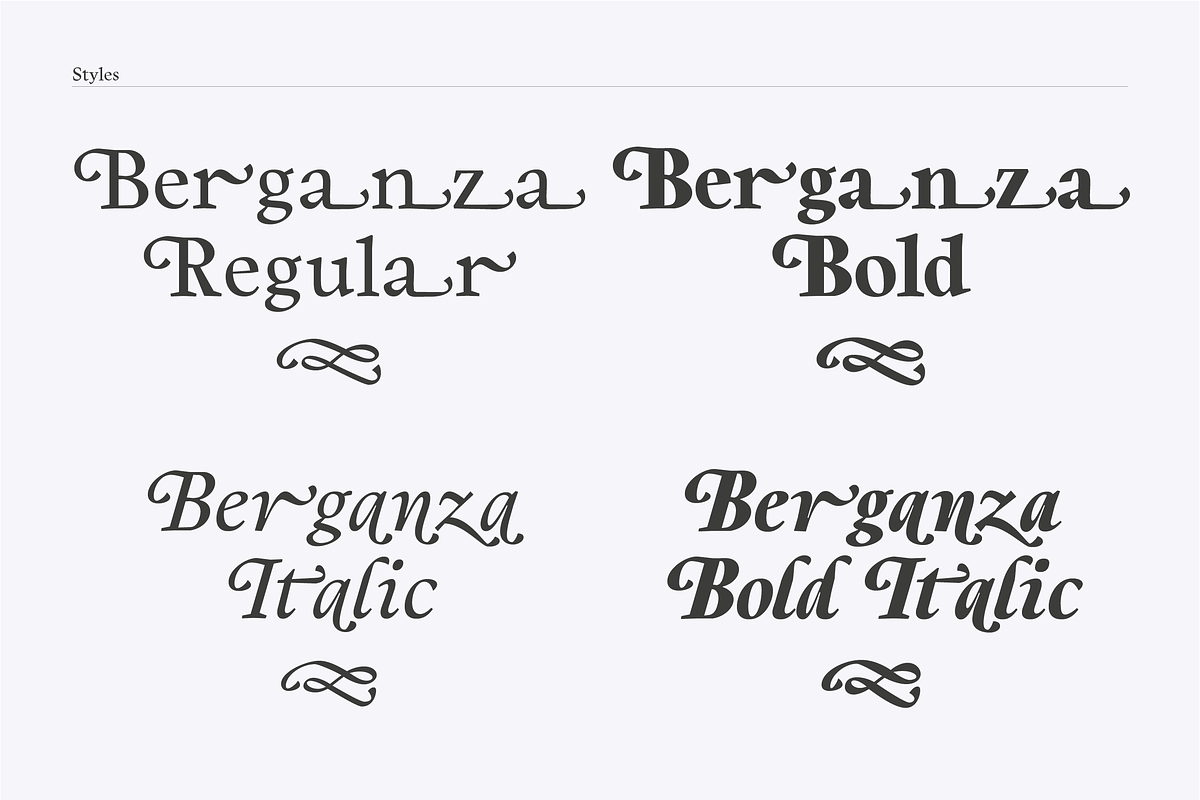Berganza Font, a Serif Font by Cuchi, qué Tipo! Foundry (Photo 3 of 10)