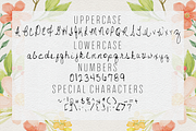 Rebecca OTF Font, a Script Font by Hunt Family Design (Thumbnail 2 of 2)