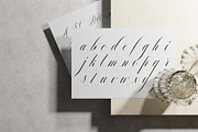 Reichamerina font family, a Serif Font by Ryul Davidson (Thumbnail 11 of 27)
