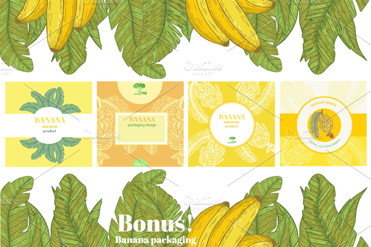 Tropical fruits collection, a Decorative Illustration by TashaDraw (Photo 10 of 10)