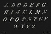 Decorative Vintage Serif Font - No14, a Serif Font by Century Library (Thumbnail 4 of 5)