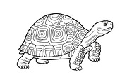 Turtle Line Art Illustration Bundle, an Illustration by Creativeshirt (Thumbnail 40 of 48)