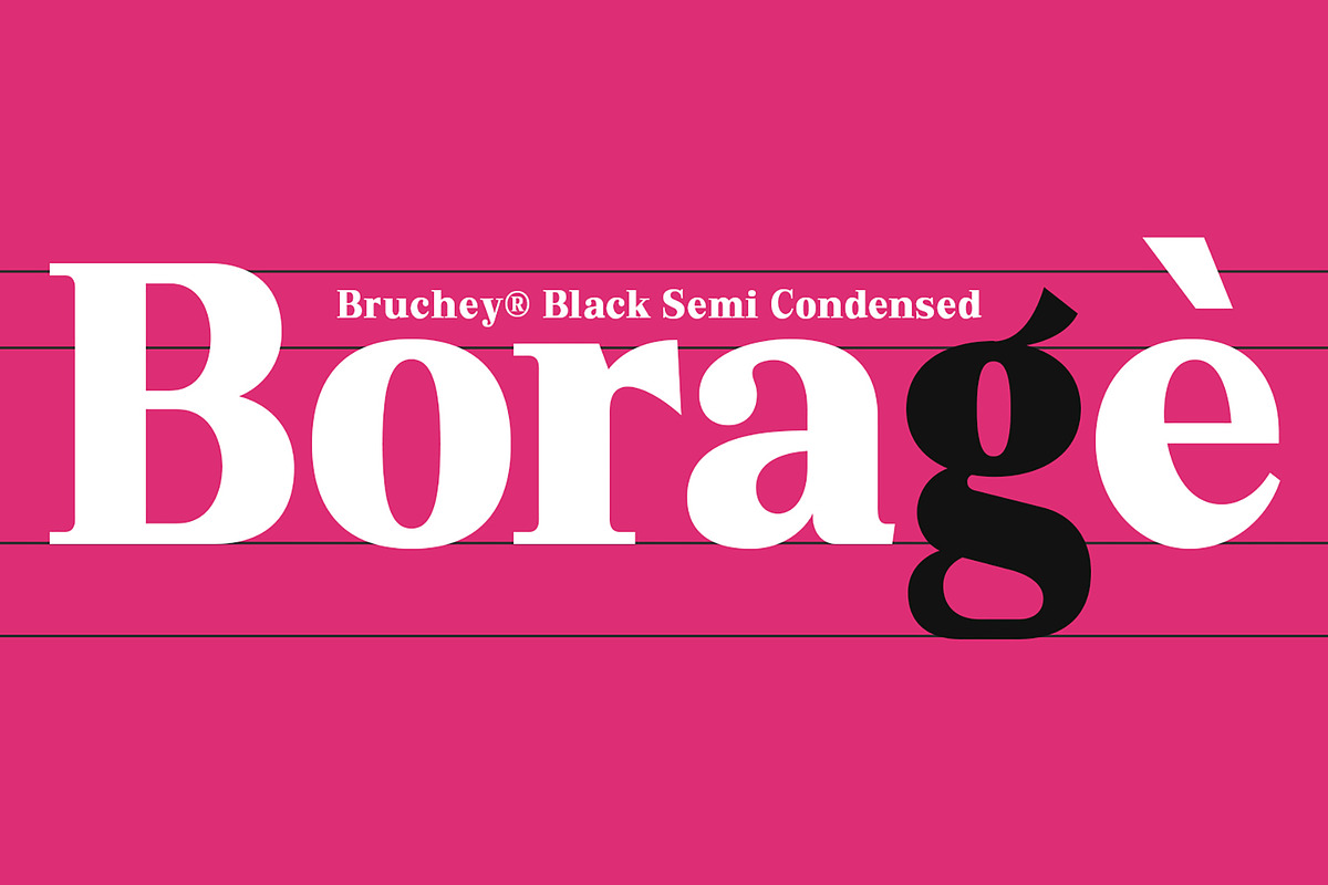 Bruchey Serif, a Serif Font by Fargun Studio (Photo 7 of 15)