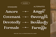 Algirae - Modern Ornamental Serif, a Serif Font by Say Studio (Thumbnail 10 of 10)