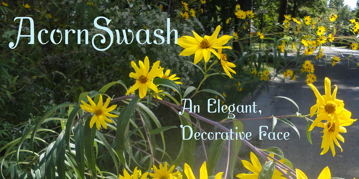 Acorn Swash, a Sans Serif Font by Ingrimayne Type (Photo 1 of 7)