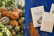 Grunge Distress Texture Backgrounds, a Texture Graphic by Oleg and Katja (Thumbnail 2 of 15)